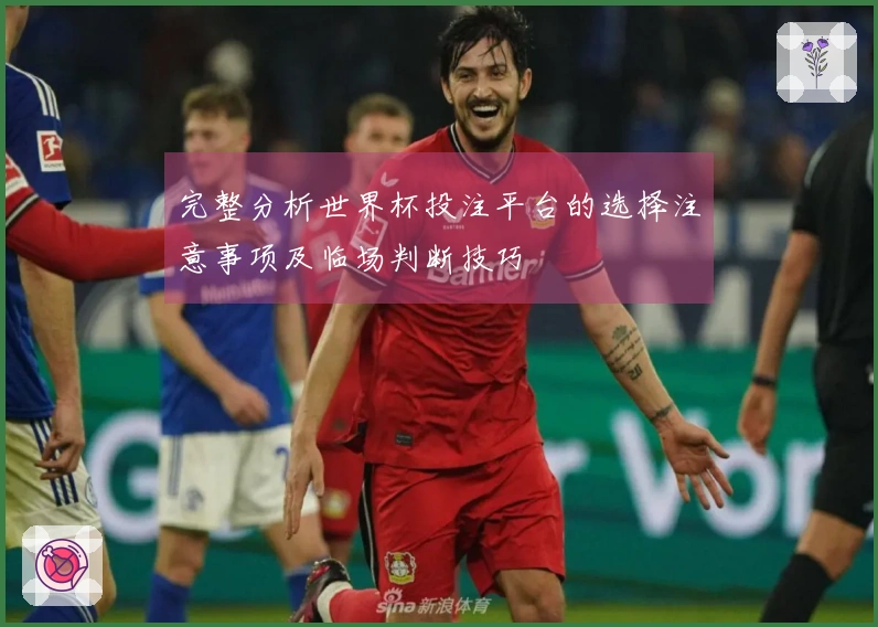 完整分析世界杯投注平台的选择注意事项及临场判断技巧