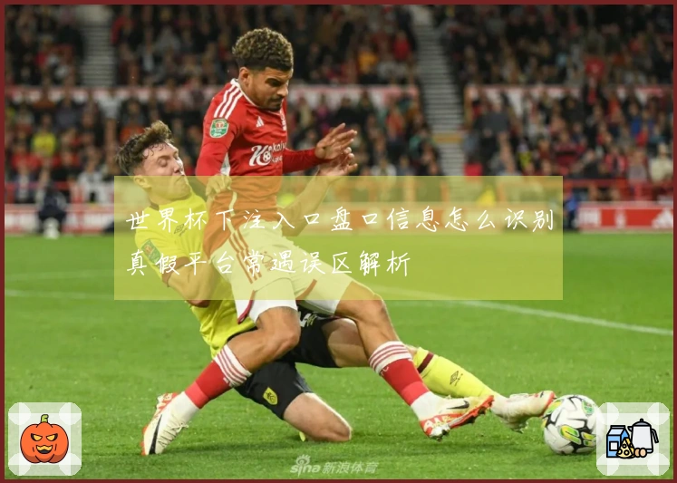 世界杯下注入口盘口信息怎么识别真假平台常遇误区解析