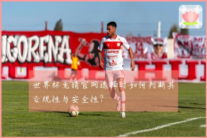 MK体育体育资讯图片
