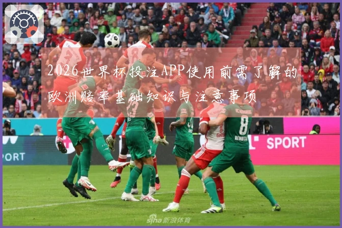 2026世界杯投注APP使用前需了解的欧洲赔率基础知识与注意事项